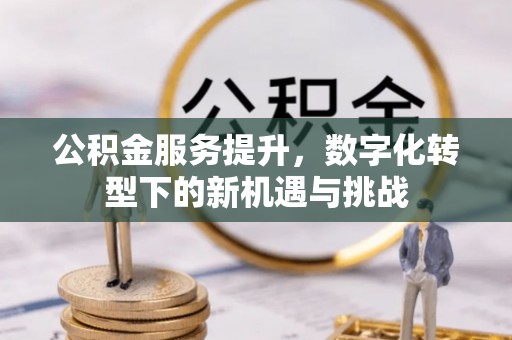 双溪公积金服务提升，数字化转型下的新机遇与挑战