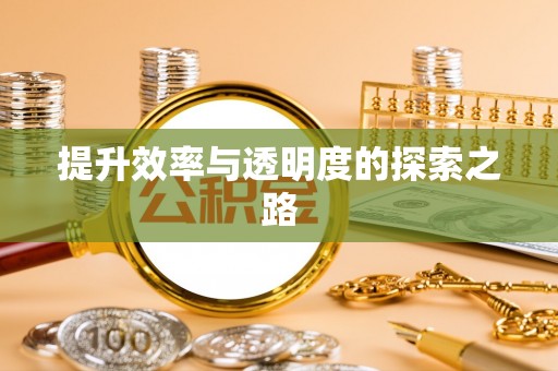 双溪提升效率与透明度的探索之路