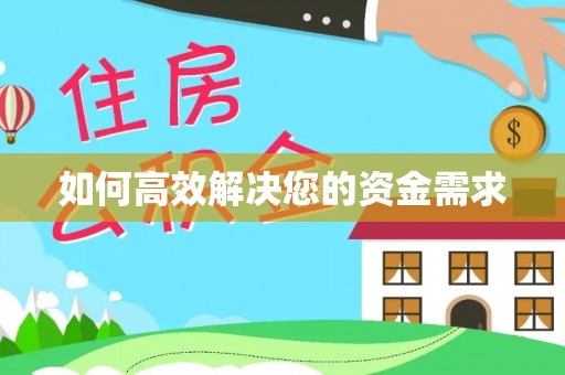 双溪如何高效解决您的资金需求